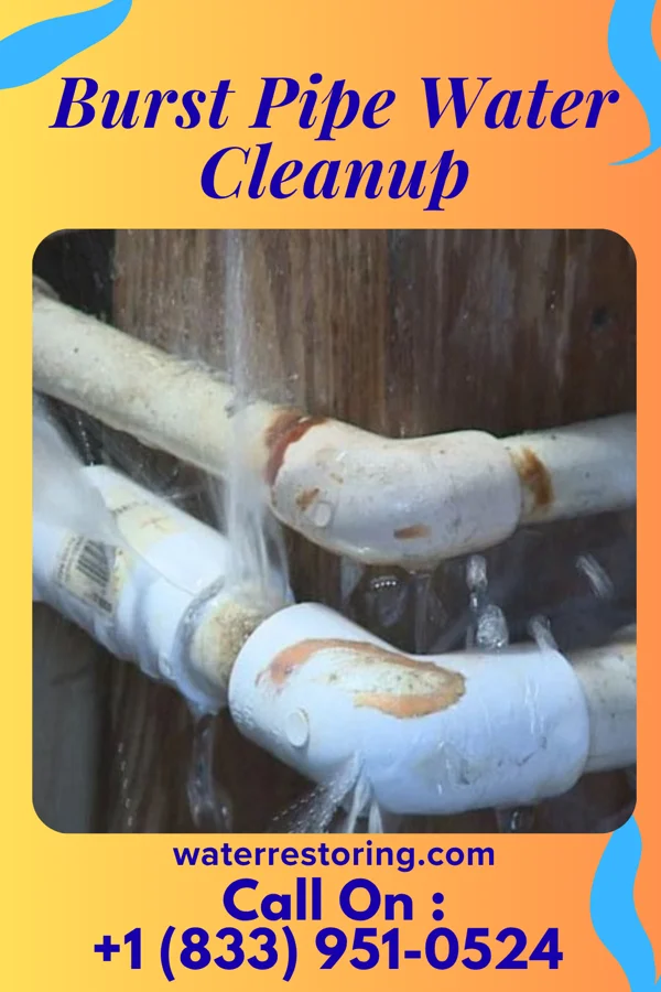 Burst Pipe Water Cleanup in Hartford, SD